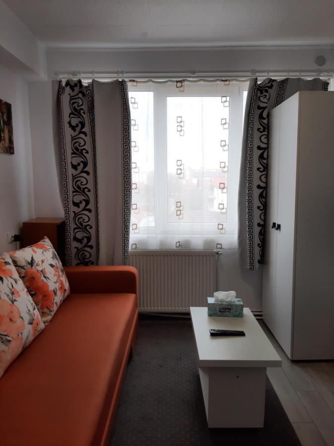 Appartement Arti Studio à Braşov Extérieur photo
