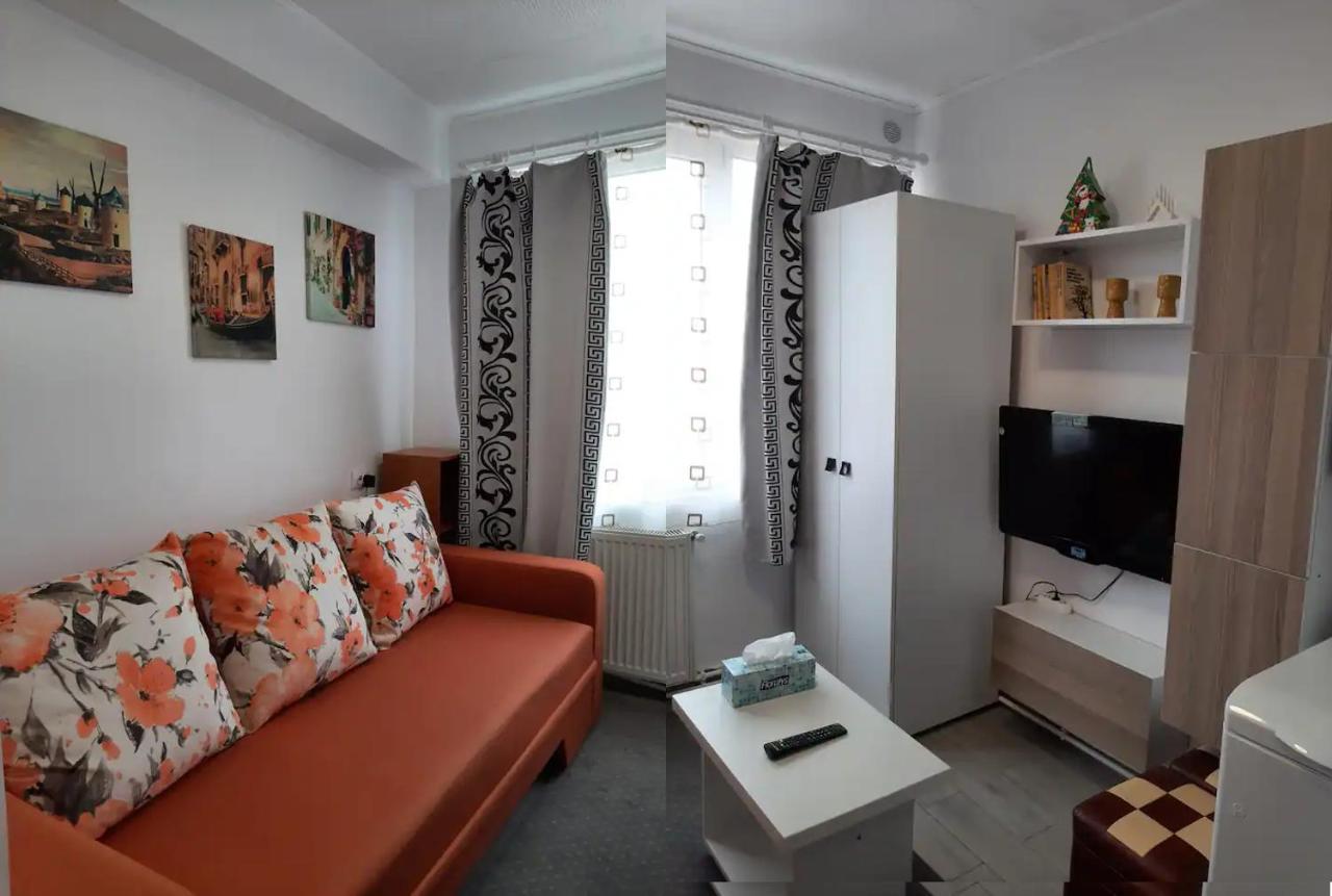 Appartement Arti Studio à Braşov Extérieur photo